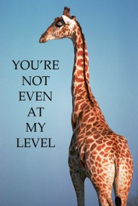 giraffe-not-at-my-level
