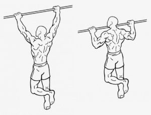 movements-pull-ups