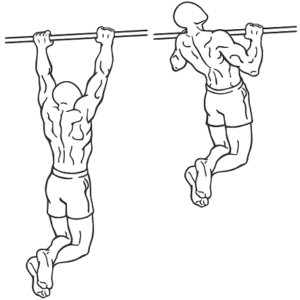 plateau-pull-ups