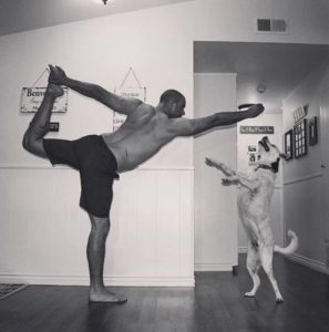 6 foot 8 yogi-5